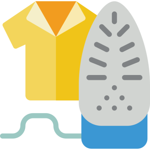 Steam Iron